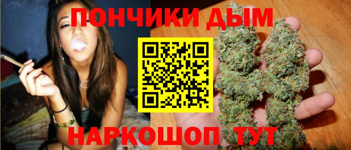 Бошки марихуана Amnesia Заводоуковск